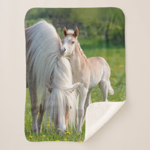 Couverture Sherpa Haflinger Horses Cute Baby Foy Photo De Maman ,