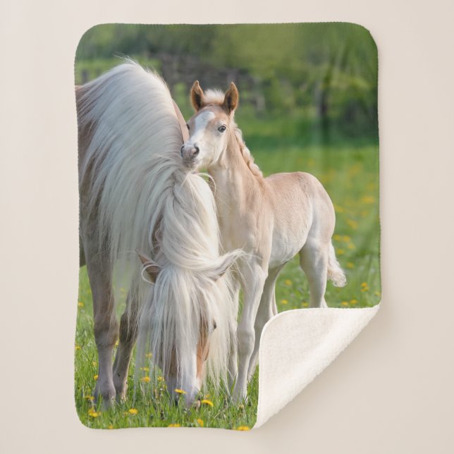Couverture Sherpa Haflinger Horses Cute Baby Foy Photo De Maman , (Devant)