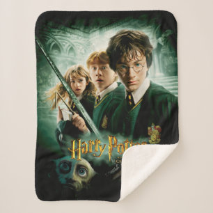 Couverture Sherpa Harry Potter Ron Hermione Groupe Dobby Saisie
