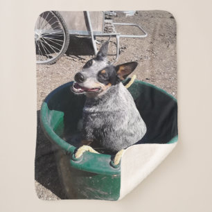 Couverture Sherpa Heeler bleu