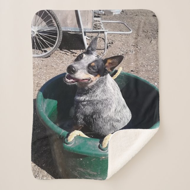 Couverture Sherpa Heeler bleu (Devant)