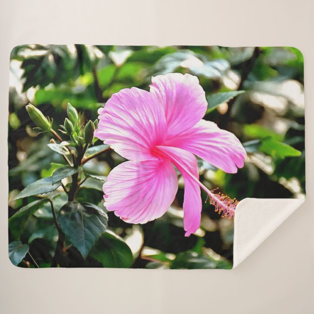 Couverture Sherpa Hibiscus rose tropical vif (Devant (Horizontal))