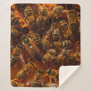 COUVERTURE SHERPA HONEYBEES 7