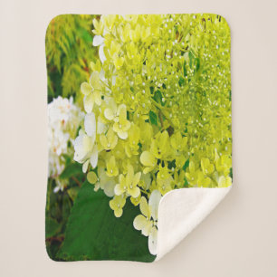 Couverture Sherpa Hydrangea Limelight Vert Chartreuse Élégant