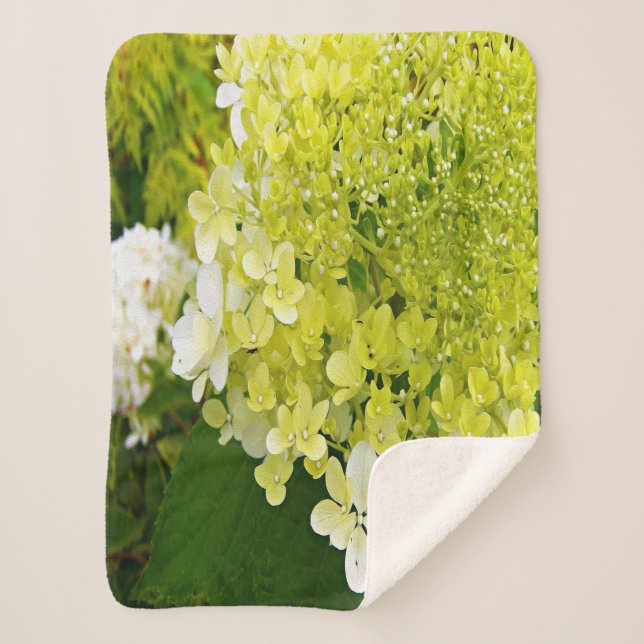 Couverture Sherpa Hydrangea Limelight Vert Chartreuse Élégant (Devant)