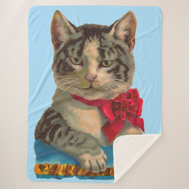 Couverture Sherpa Impression de chat de tabby victorien (Devant)