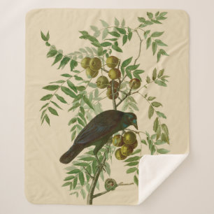 Couverture Sherpa Impression d'oiseau Grackle Violet d'Audubon Botan