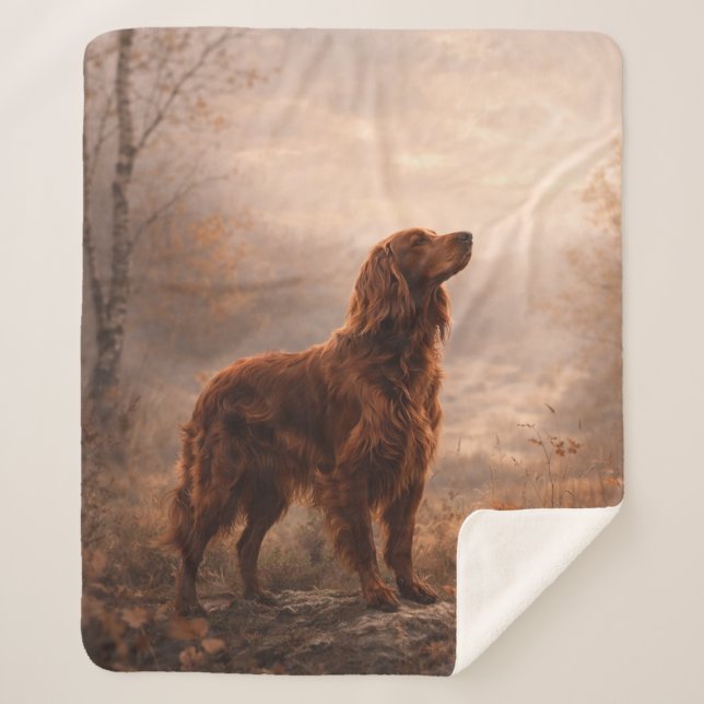 Couverture Sherpa Irish Setter (Devant)