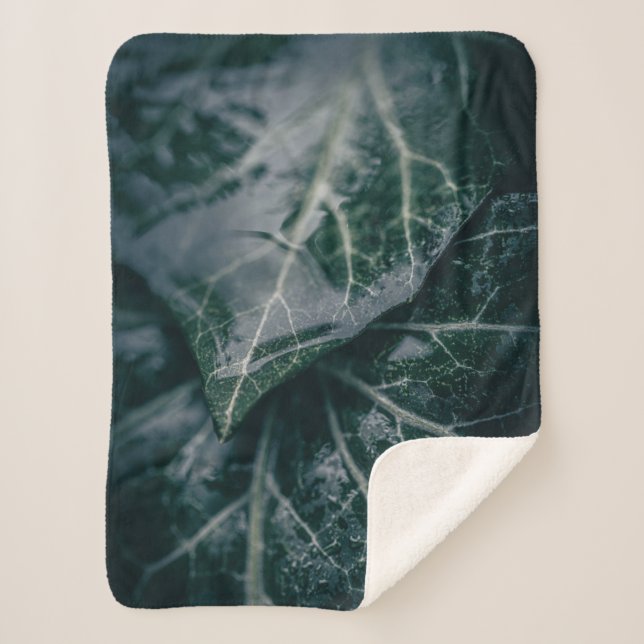 Couverture Sherpa Ivy Nature Photo (Devant)