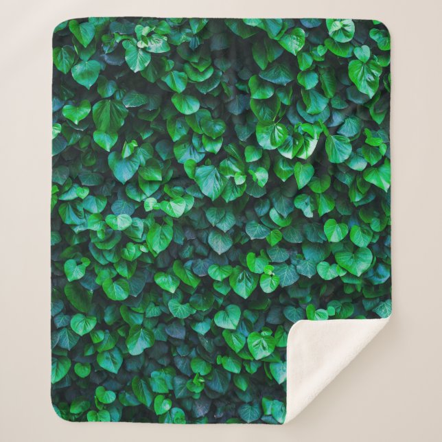 Couverture Sherpa Jardin intérieur de la jungle urbaine (Devant)