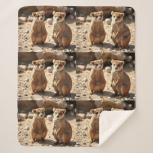 Couverture Sherpa Jumeaux Quokka australiens
