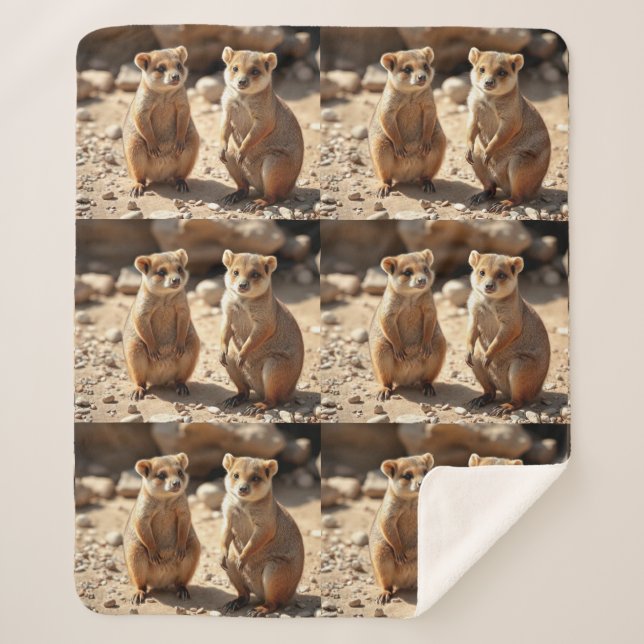 Couverture Sherpa Jumeaux Quokka australiens (Devant)