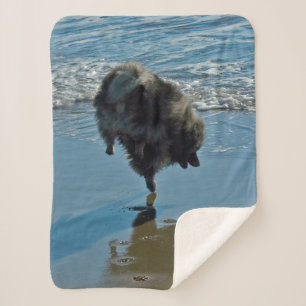 Couverture Sherpa Keeshond Ballet Photographie - Joli chien d'origin
