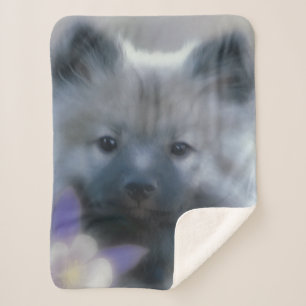 Couverture Sherpa Keeshond et Columbine - Photo de chien