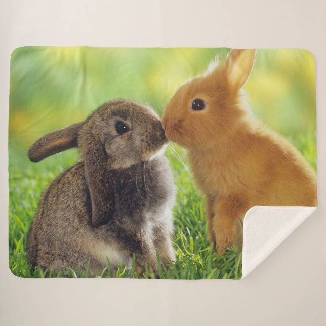 COUVERTURE SHERPA KISSING BUNNIES (Devant (Horizontal))