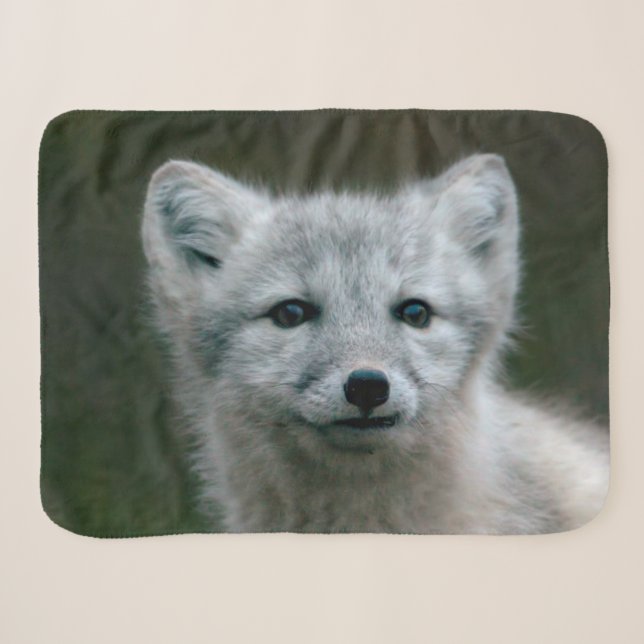 Couverture Sherpa Kit de Fox arctique des images | de Getty (Devant (Horizontal))