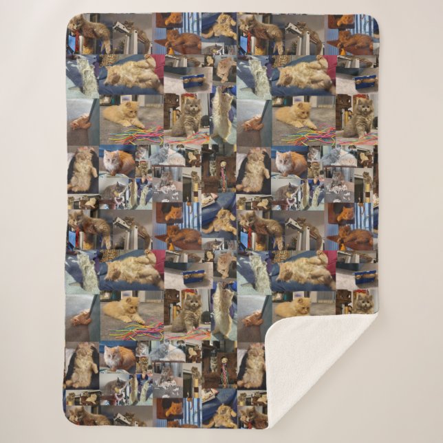 Couverture Sherpa Kitten Photo Collage, (Devant)