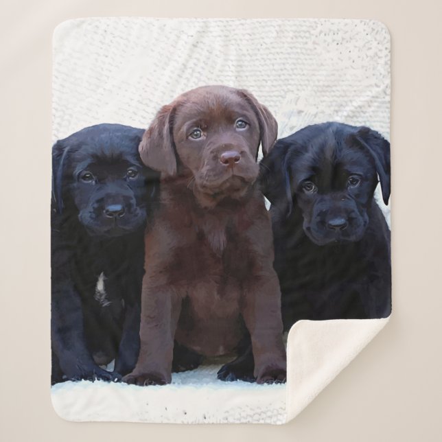 Couverture Sherpa Laboratoire de chocolat - Chiots noirs du Labrador (Devant)