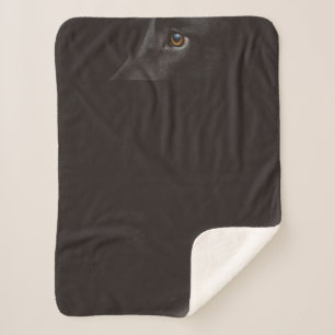 Couverture Sherpa laboratoire noir