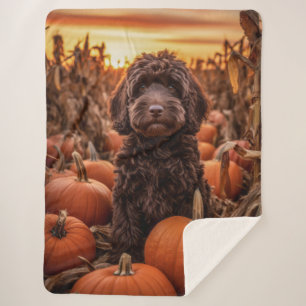 Couverture Sherpa Labradoodle d'automne