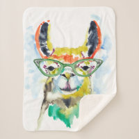 Lama de Je-sais-tout-Pantalon