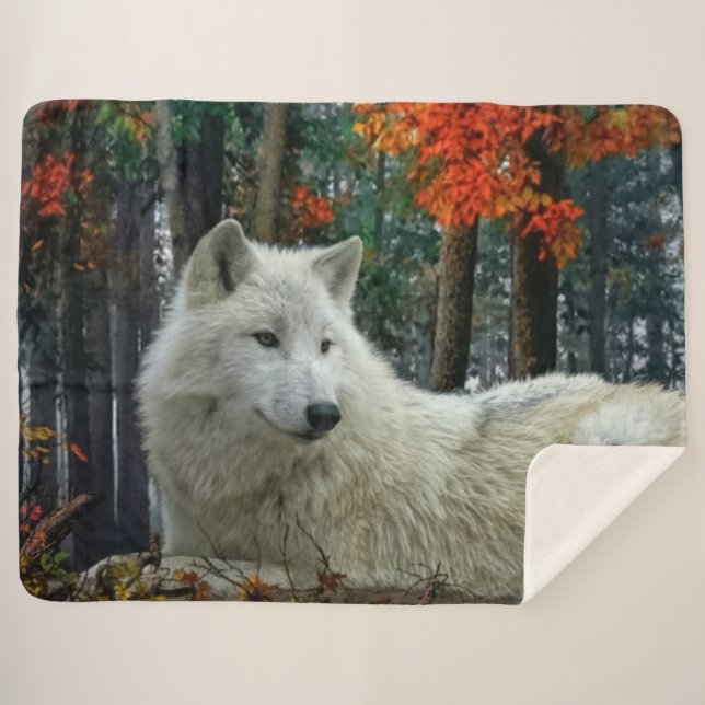 COUVERTURE SHERPA LE LOUP BLANC (Devant (Horizontal))