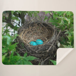 COUVERTURE SHERPA LE NEST DE ROBIN