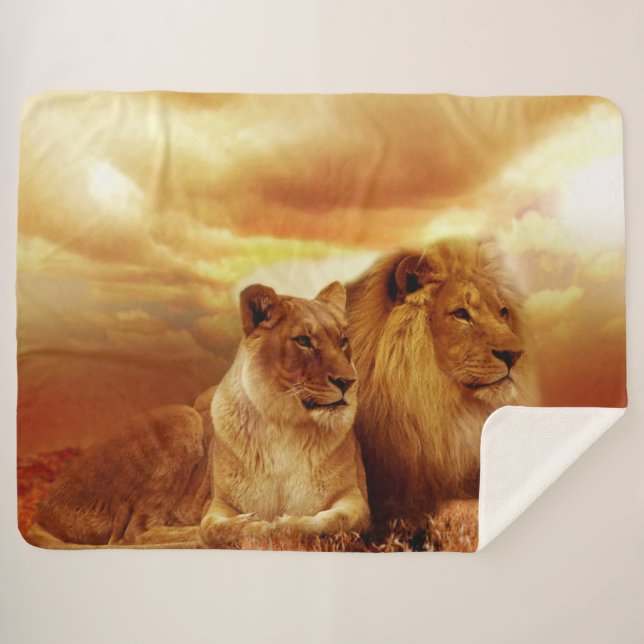 Couverture Sherpa Le ROI et sa REINE (Devant (Horizontal))