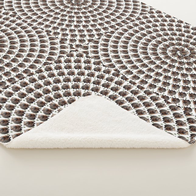 Couverture Sherpa Le tourbillon de Wombat : une spirale de merveille (3/4)