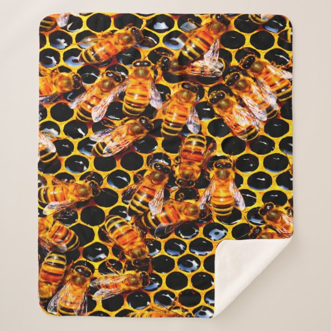 COUVERTURE SHERPA LES ABEILLES (Devant)
