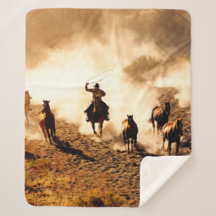 Couverture Sherpa Les cow-boys à la recherche de chevaux sauvages. l