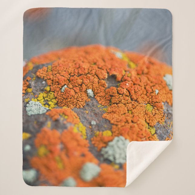 Couverture Sherpa Lichen orange moss pierre gris (Devant)
