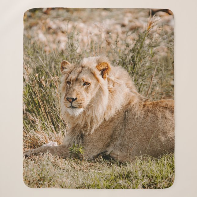 COUVERTURE SHERPA LION EN GRAS (Devant)