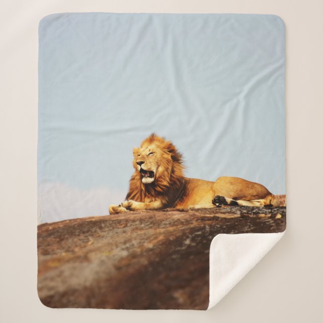 COUVERTURE SHERPA LION ON GROUND DURING DAYTIME (Devant)