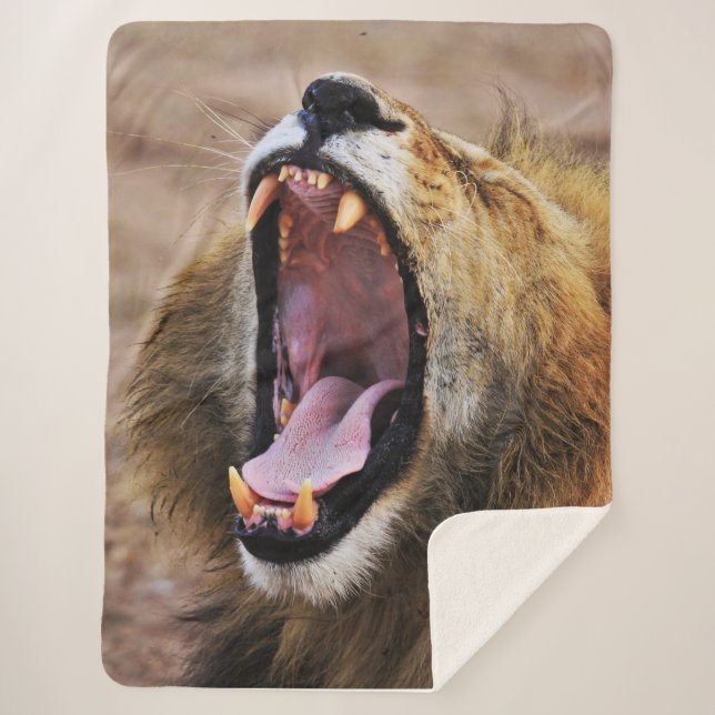 COUVERTURE SHERPA LION YAWN (Devant)