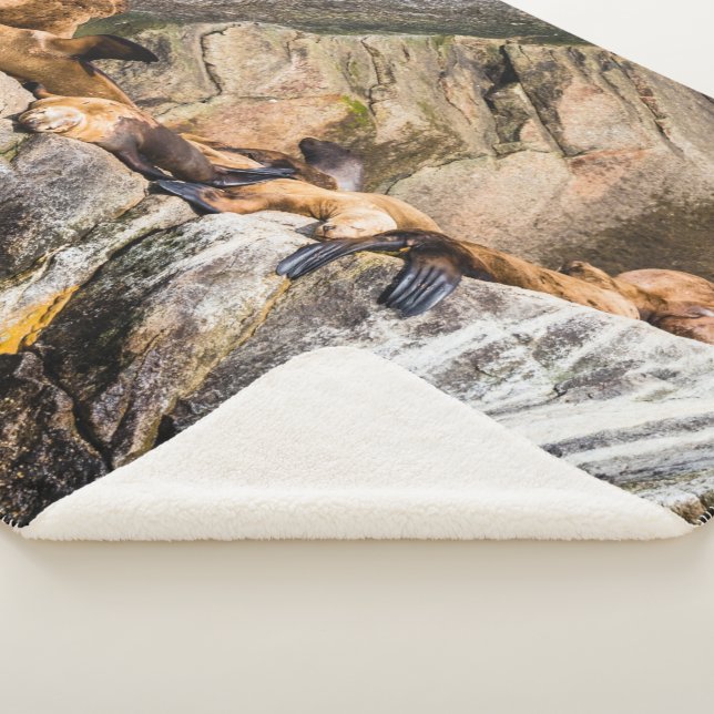 Couverture Sherpa Lions De Mer Posés Sur Les Rochers (3/4)