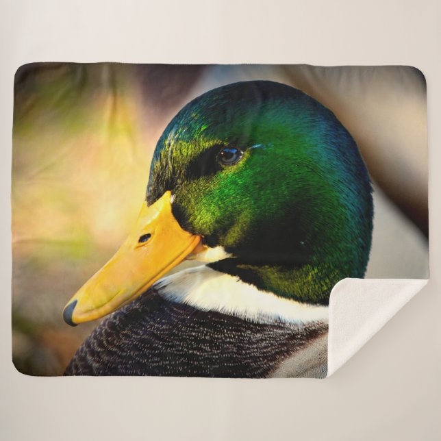 COUVERTURE SHERPA MALLARD DUCK (Devant (Horizontal))