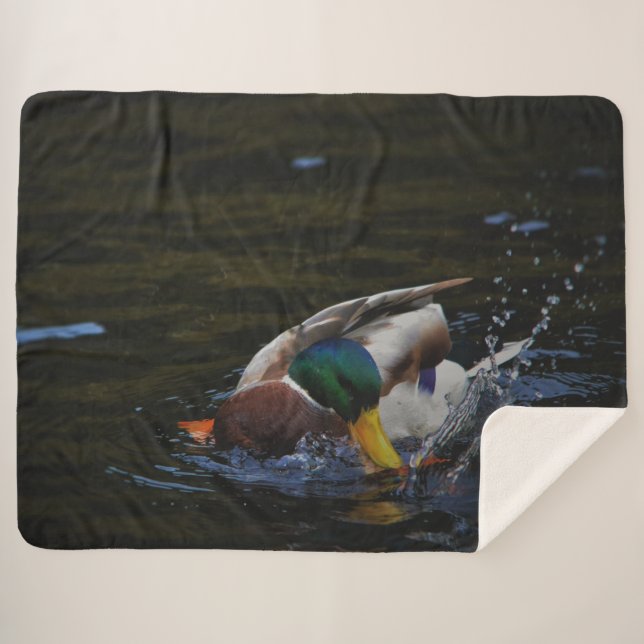 COUVERTURE SHERPA MALLARD DUCK (Devant (Horizontal))