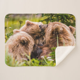 Couverture Sherpa Mama bear nourrit ses deux petits, Lake Clark Nati