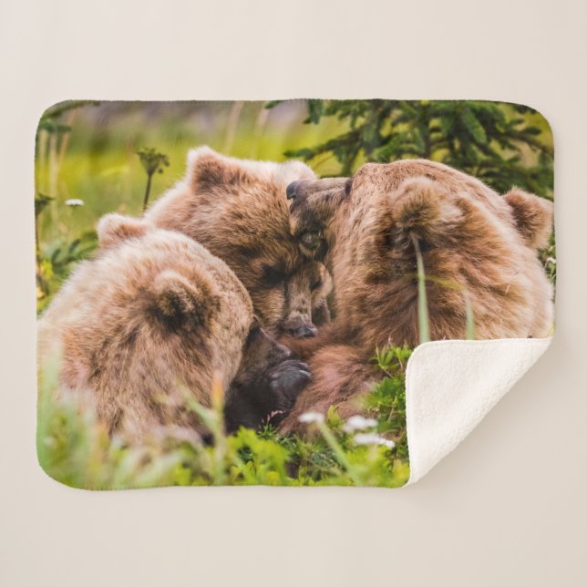 Couverture Sherpa Mama bear nourrit ses deux petits, Lake Clark Nati (Devant (Horizontal))
