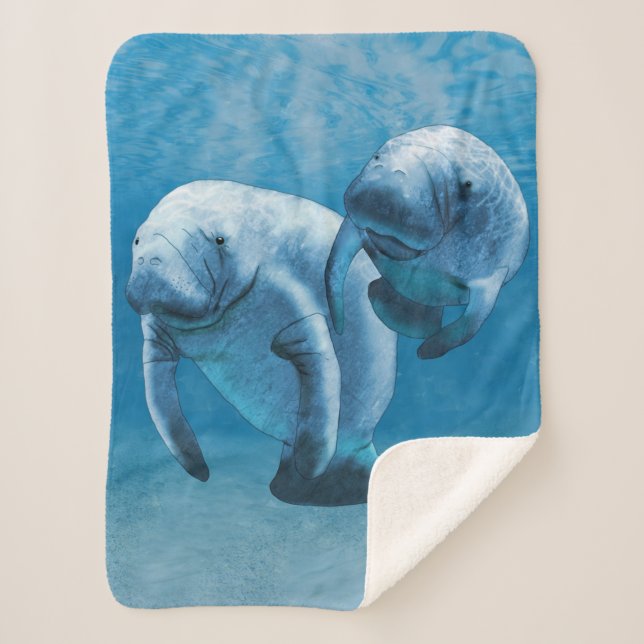 Couverture Sherpa Manatees (Devant)