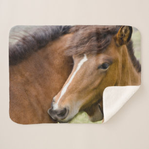 Couverture Sherpa Mare Et Colt