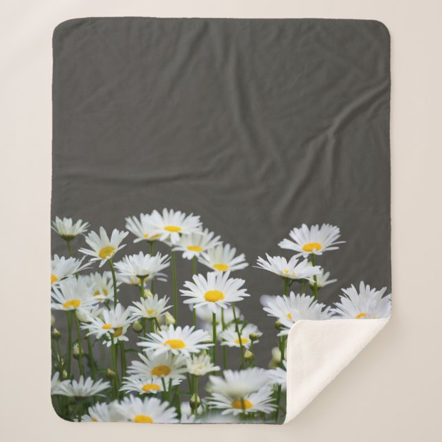 Couverture Sherpa Marguerites sur Grey  (Devant)