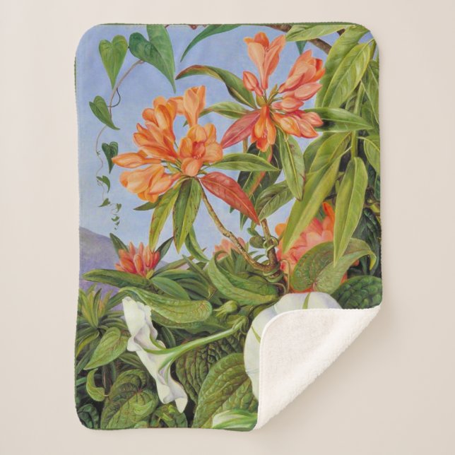 Couverture Sherpa Marianne North - Javan Rhododendrum (Devant)