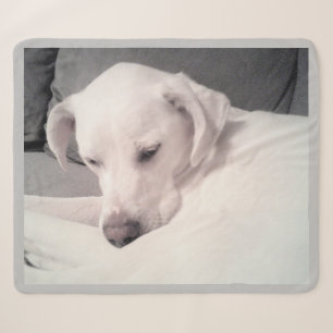 Couverture Sherpa Mélange blanc labrador blanc mix gris chien