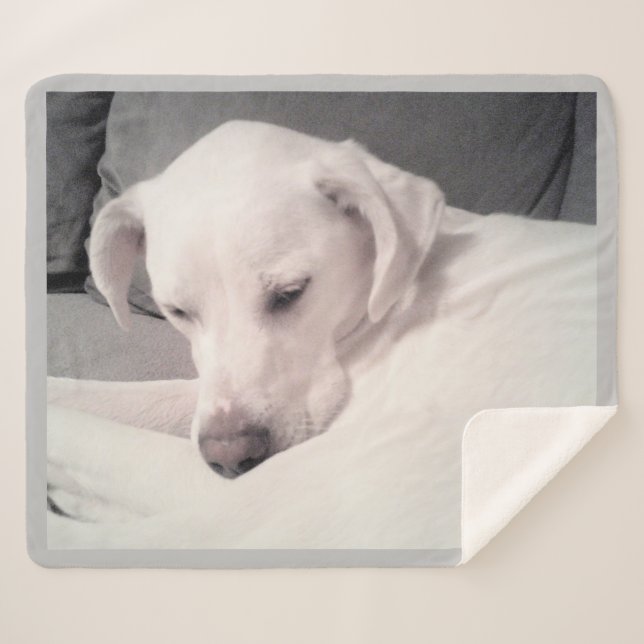 Couverture Sherpa Mélange blanc labrador blanc mix gris chien (Devant (Horizontal))