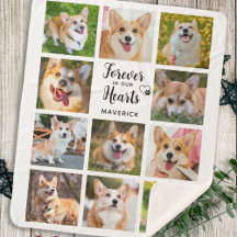 Mémorial pour chien à jamais dans nos cœurs Photom