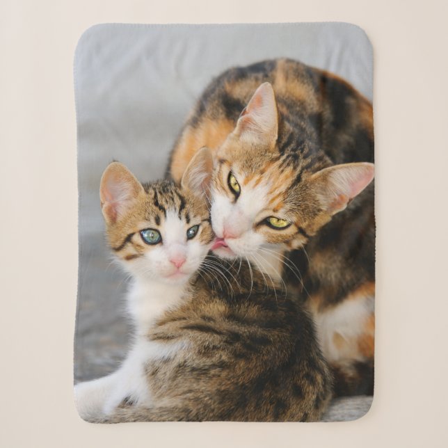 Couverture Sherpa Mère Chat aime mignonne Bébé Kitten Animal Photo s (Devant)
