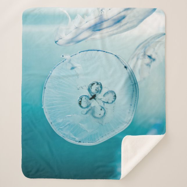 COUVERTURE SHERPA METROID EST QUE VOUS (Devant)