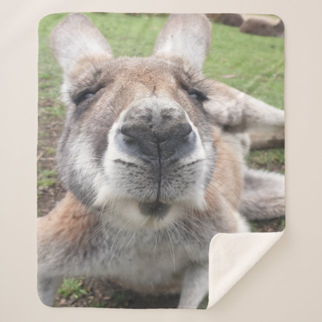 Couverture Sherpa Mignons Visage Kangaroo Kawaii Animal Australie (Devant)
